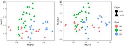 Effects of tree species identity on soil microbial communities in Juglans nigra and Quercus rubra plantations